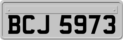 BCJ5973