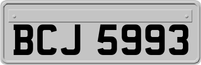BCJ5993