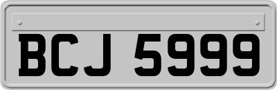 BCJ5999