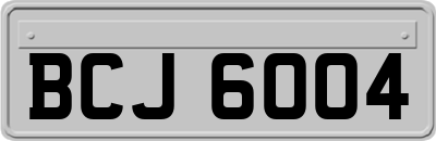 BCJ6004