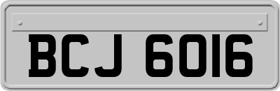 BCJ6016