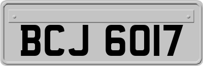 BCJ6017