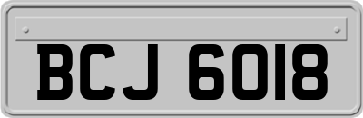 BCJ6018