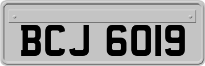 BCJ6019