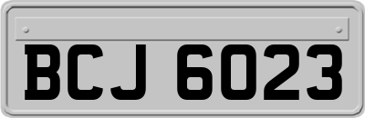 BCJ6023