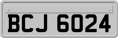 BCJ6024