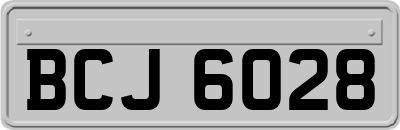 BCJ6028