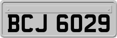 BCJ6029
