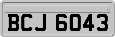 BCJ6043