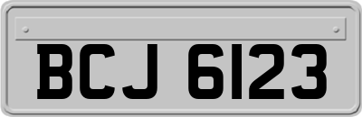 BCJ6123