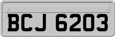 BCJ6203