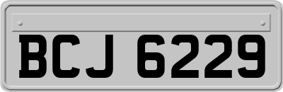 BCJ6229