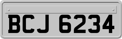 BCJ6234