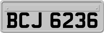 BCJ6236