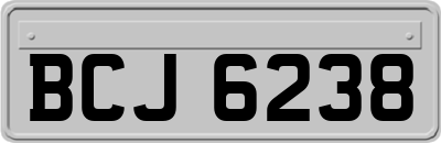 BCJ6238