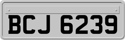 BCJ6239