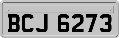 BCJ6273