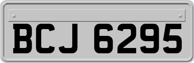 BCJ6295