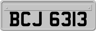 BCJ6313