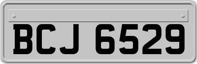 BCJ6529