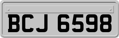 BCJ6598