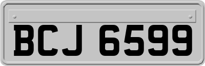BCJ6599