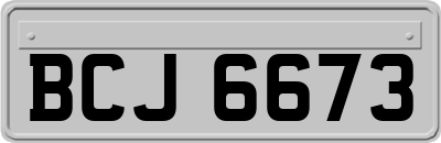 BCJ6673