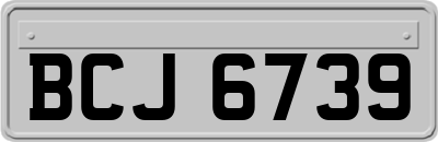 BCJ6739