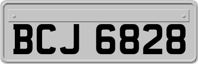 BCJ6828