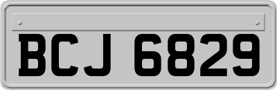 BCJ6829