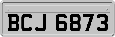 BCJ6873