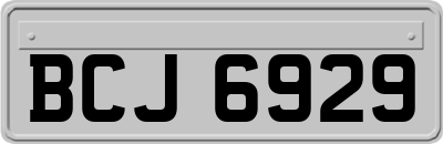 BCJ6929