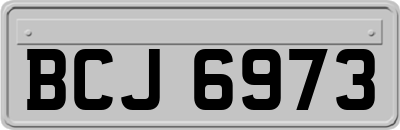 BCJ6973