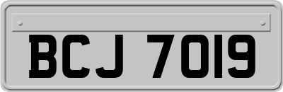 BCJ7019
