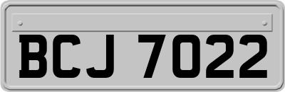 BCJ7022