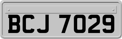 BCJ7029