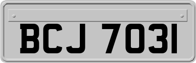 BCJ7031