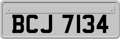 BCJ7134