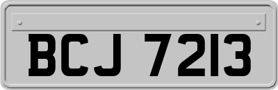 BCJ7213