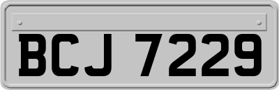 BCJ7229