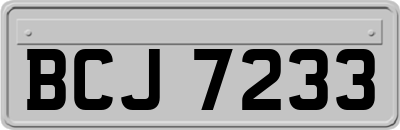 BCJ7233