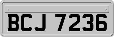 BCJ7236