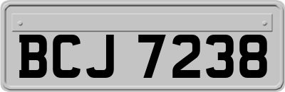 BCJ7238