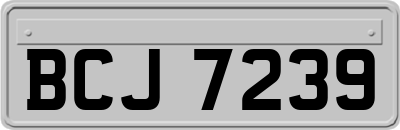 BCJ7239