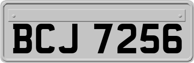 BCJ7256