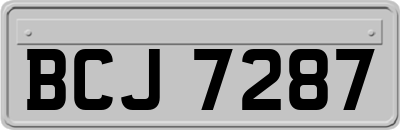 BCJ7287