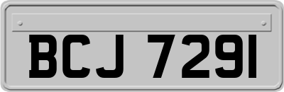 BCJ7291