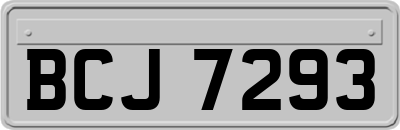 BCJ7293