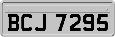BCJ7295