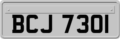 BCJ7301